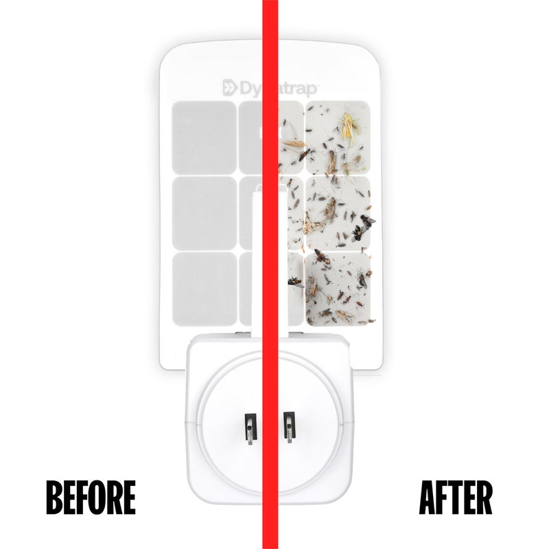 Dynatrap DT3007W Indoor Plug-in Flying Insect Trap for Flies, Fruit Flies, Moths, Gnats, and Other Flying Insects - 1 White Device + 2 Glue Cards - Image 3