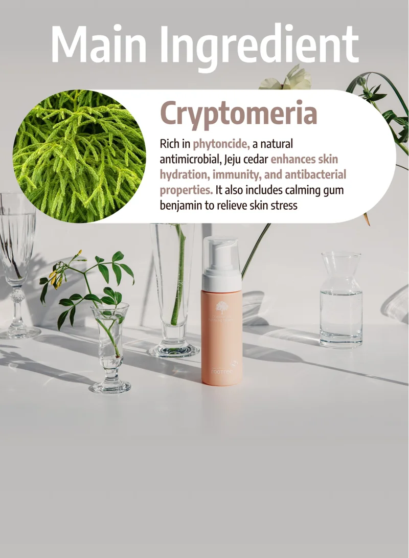 rootree Cryptherapy Purifying Cleanser - Korean Skincare, Face Wash, Gentle Exfoliaitng, Hydrating and Moistruising, Vegan & Cruelty Free