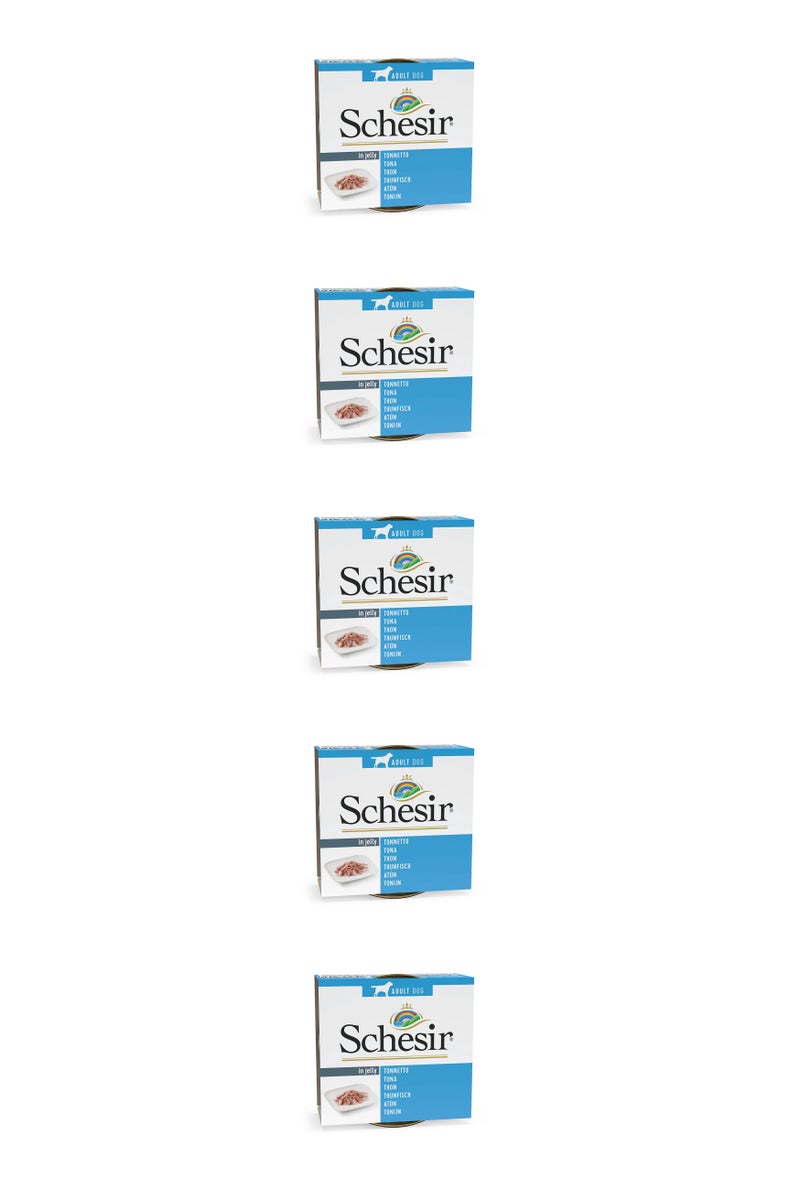 شيسر طعام الكلاب الرطب شيسير في علبة جيلي - تونة 150 جم - 5 قطع - Image 1