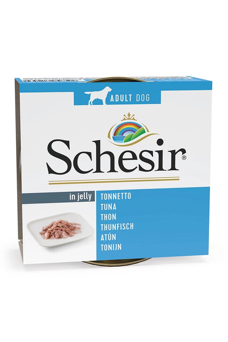 شيسر طعام الكلاب الرطب شيسير في علبة جيلي - تونة 150 جم - 5 قطع - Image 2