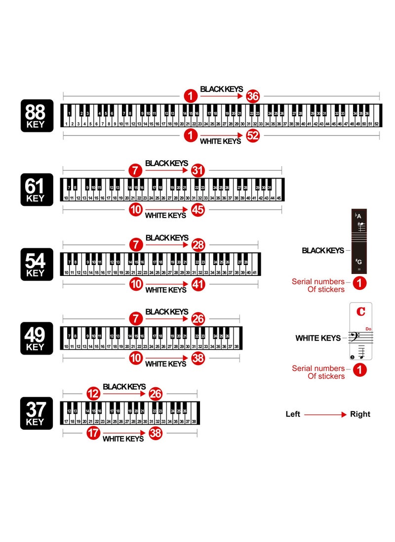 null - Piano Keyboard Stickers for 88/61/54/49/37 Key, Bold Large Letter Piano Stickers for Learning, Removable Piano Keyboard Letters, Notes Label for Beginners and Kids, Multicolor - Image 1