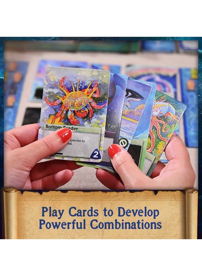 North Star Games Northstar Game Studio Oceans Board Game - Beautiful Strategy Ecosystem Game | Families, Teens & Adults - 2-4 Players, Age 12+, 90 Mins - Image 4