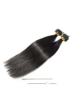 KUYING 2-Piece U Tip Silky Straight Hair Extensions 
