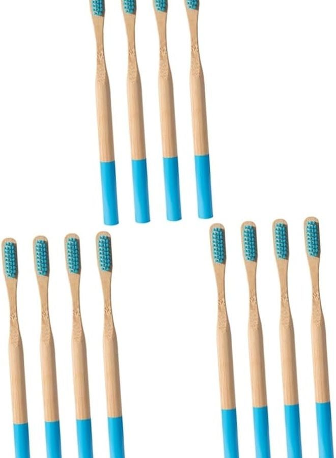 NOLITOY 12 Pack Bamboo Toothbrush For Adults With Firm Bristles And Holder Eco Friendly - Image 1
