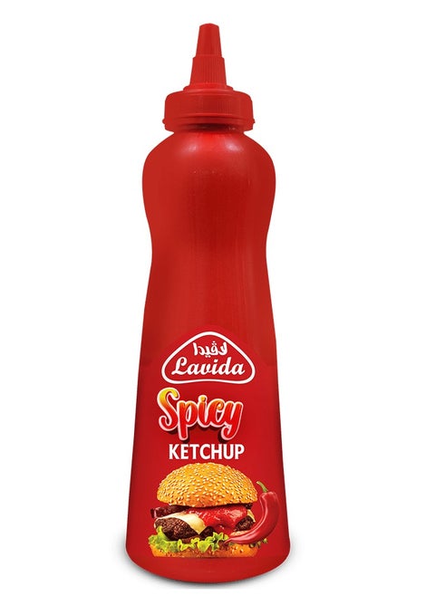 Spicy Ketchup Squeeze , 585 gm