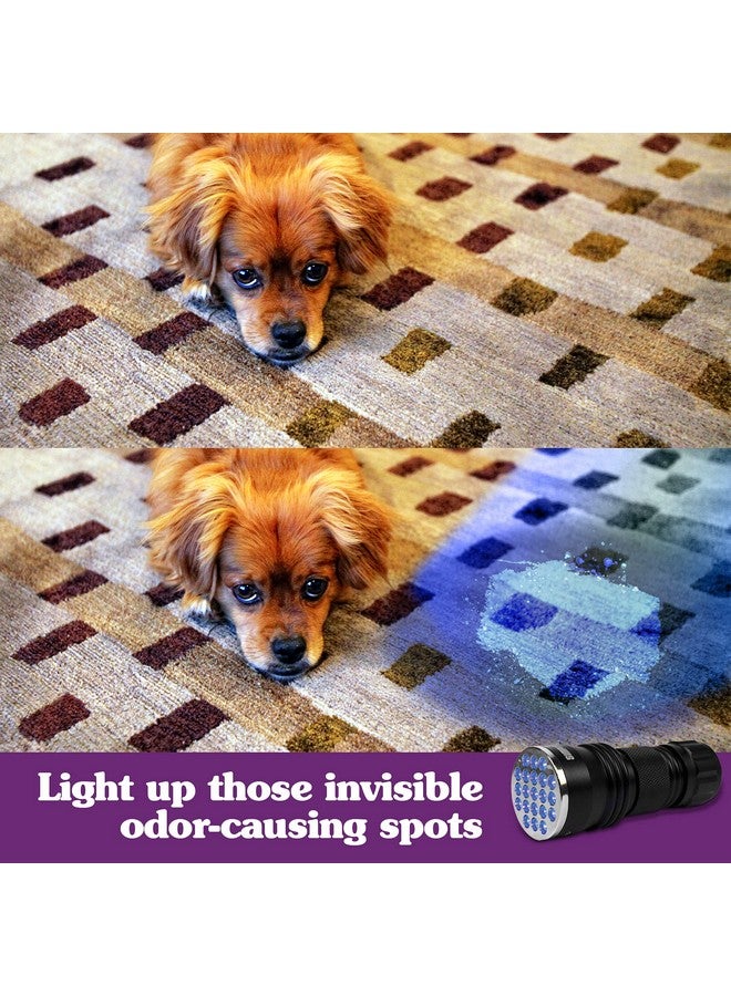 سيمبل سوليوشن جهاز كشف البول Spot Spotter HD Uv LED | يكتشف ويزيل بقع ورائحة بول الحيوانات الأليفة | 1 ضوء - Image 2