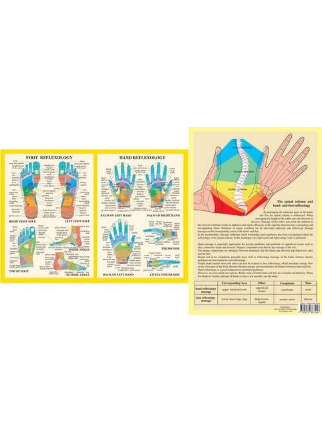 Hand & Foot Reflexology -- A4 
