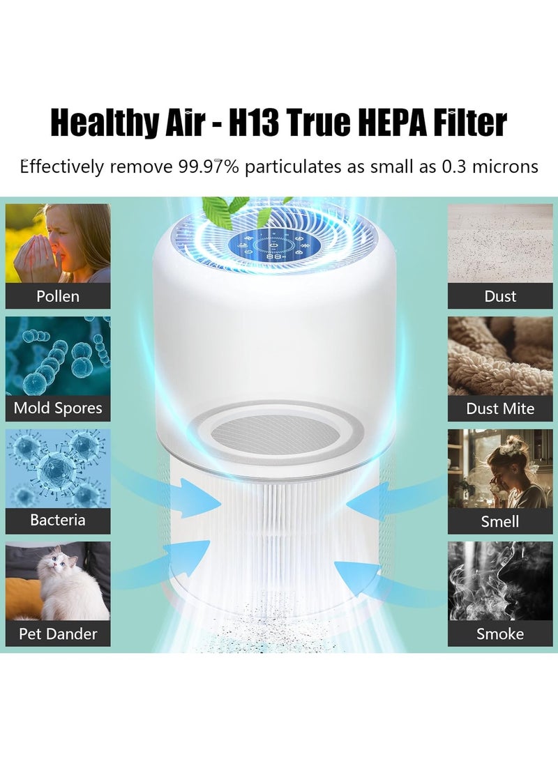 م.ا & ف'س فلتر بديل أساسي Core 300 متوافق مع جهاز تنقية الهواء LEVOIT Core 300 / 300S، فلتر 3 في 1 H13 من فئة HEPA الحقيقية وفلتر الكربون النشط، بديل لفلتر Core300-RF، أبيض (قطعتان) - Image 5