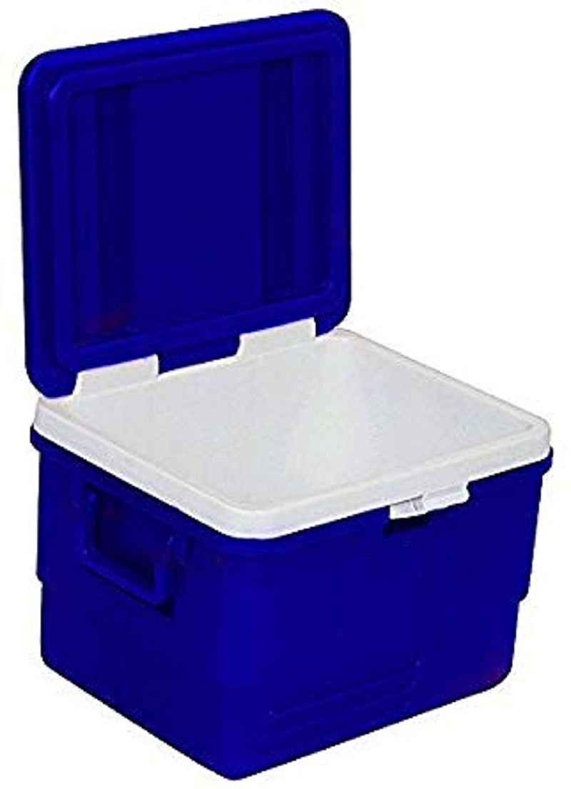 Dhruheer Multicolored Insulated Plastic Chiller Ice Box for Home Travel Party Ice Storage Box For Wine Bar 25 L - Image 3