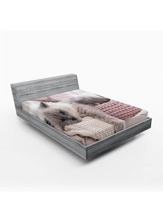 Ambesonne Ambesonne Cat Fitted Sheet Set  - Image 1