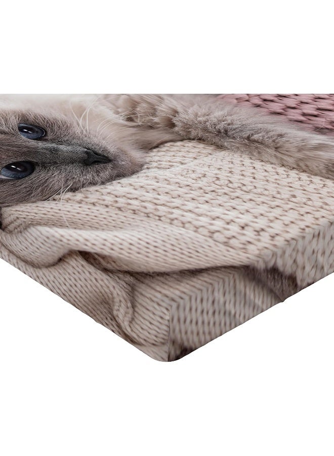 Ambesonne Ambesonne Cat Fitted Sheet Set  - Image 3