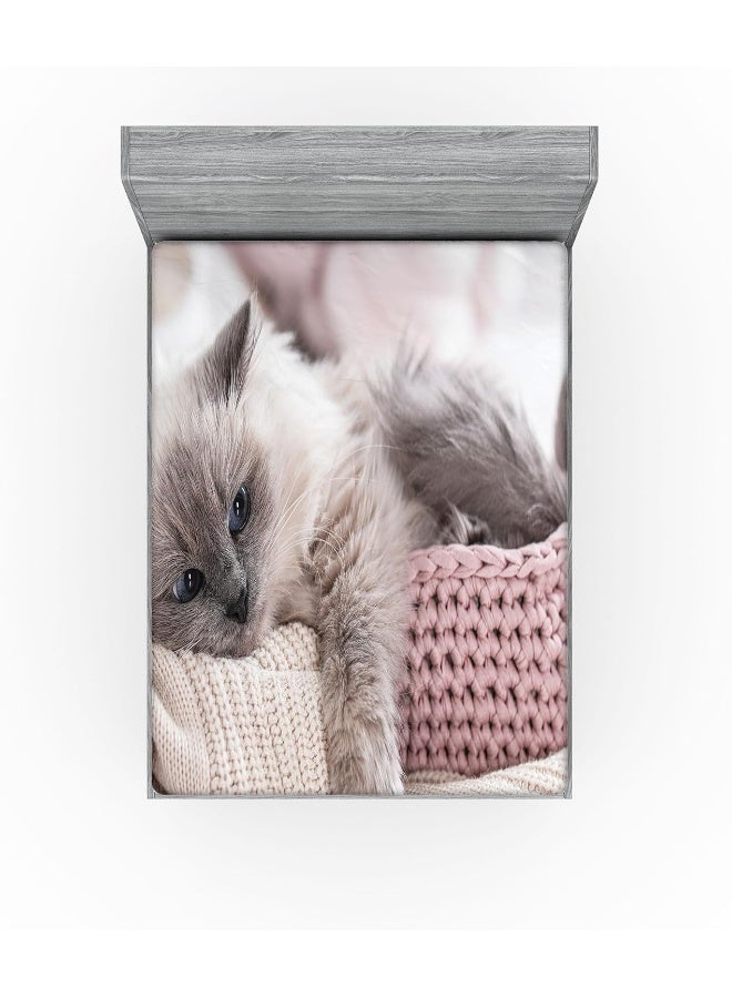 Ambesonne Ambesonne Cat Fitted Sheet Set  - Image 2