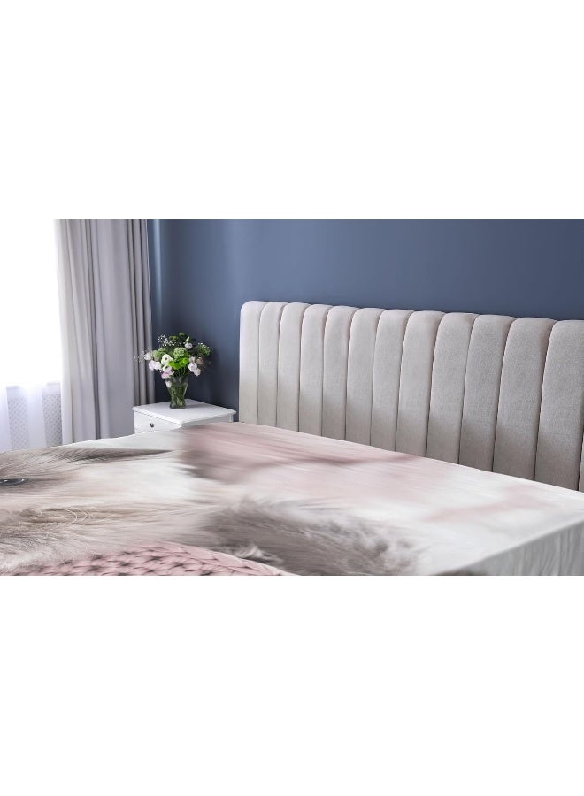 Ambesonne Ambesonne Cat Fitted Sheet Set  - Image 5