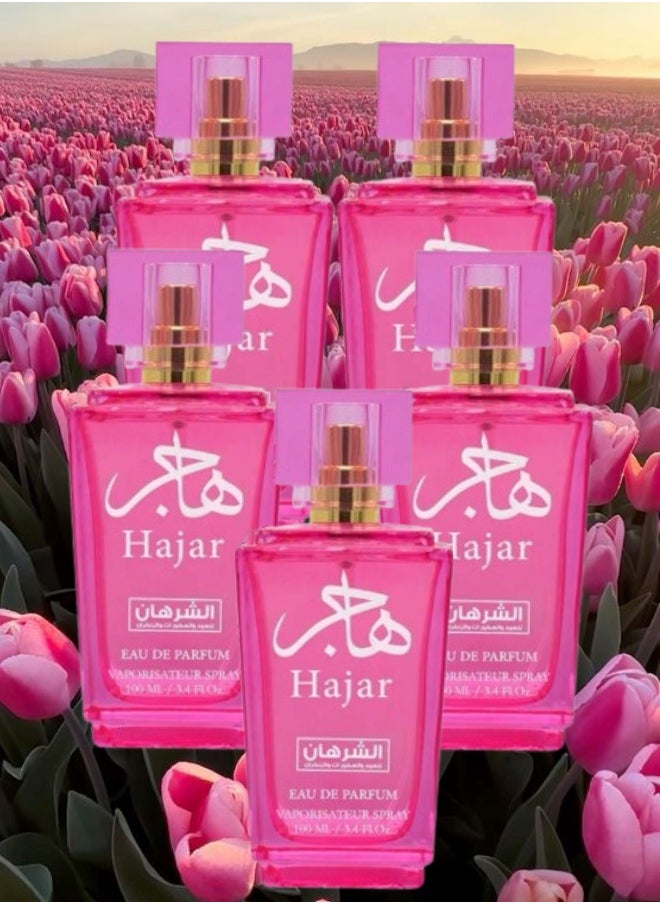 5 Pieces Hajar Perfume 100ML - pzsku/ZB13EB898E9290760DB92Z/45/_/1731056560/d028a778-4fd8-4eac-83c5-2f634c522d80