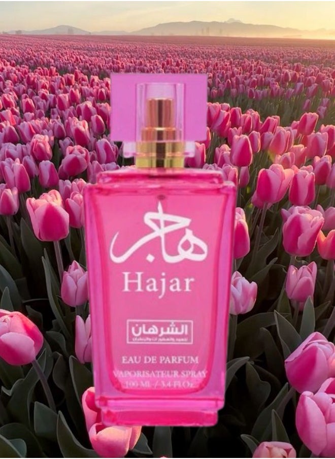 5 Pieces Hajar Perfume 100ML - pzsku/ZB13EB898E9290760DB92Z/45/_/1731056562/f428519c-beb6-4962-9ff2-672a74035301