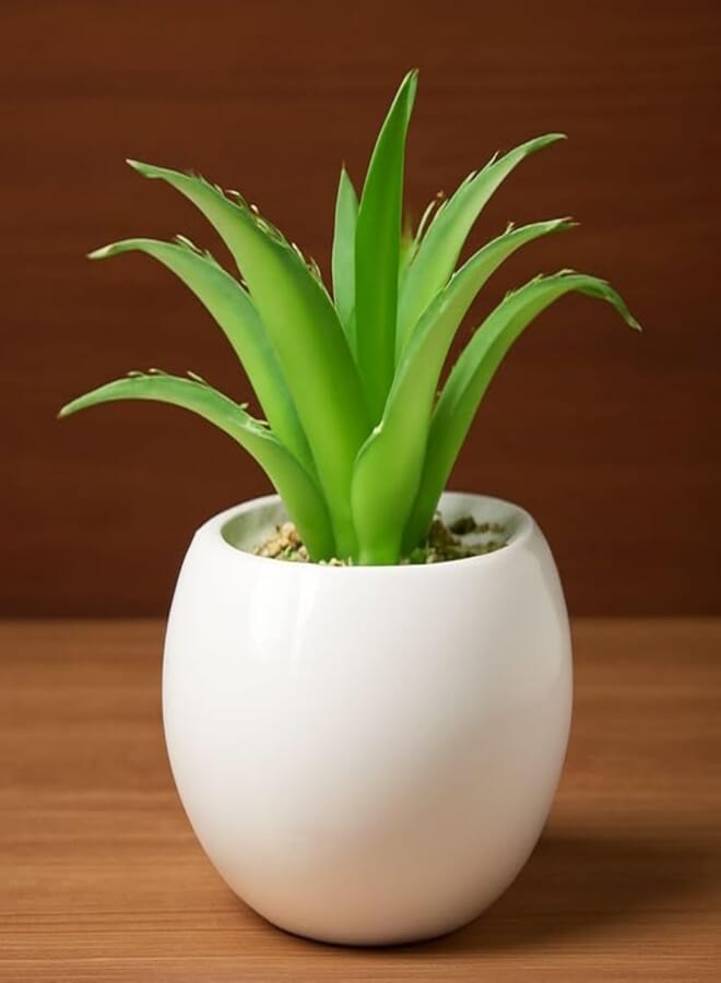 Artificial Cactus Plant with White Porcelain Spherical Base, Modern Home Decor