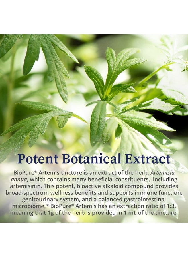 BioPure Artemis - Herbal Extract of Artemisia Annua or Sweet Wormwood with Bioactive Compounds for Immune System, Gut Health, Genitourinary Function, Microbiome Balance, & Overall Wellness - 2 fl oz - Image 5