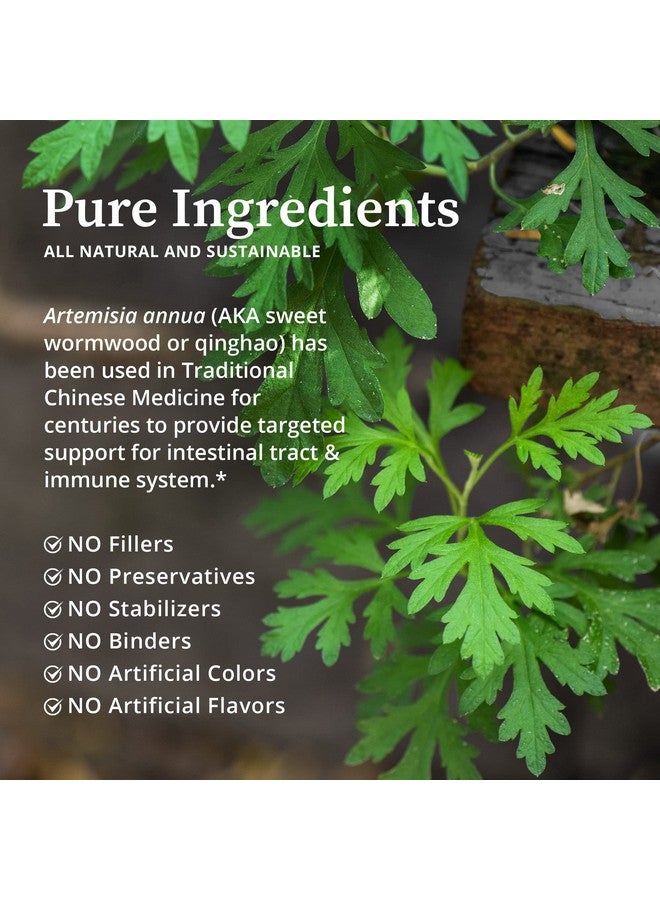 BioPure Artemis - Herbal Extract of Artemisia Annua or Sweet Wormwood with Bioactive Compounds for Immune System, Gut Health, Genitourinary Function, Microbiome Balance, & Overall Wellness - 2 fl oz - Image 3