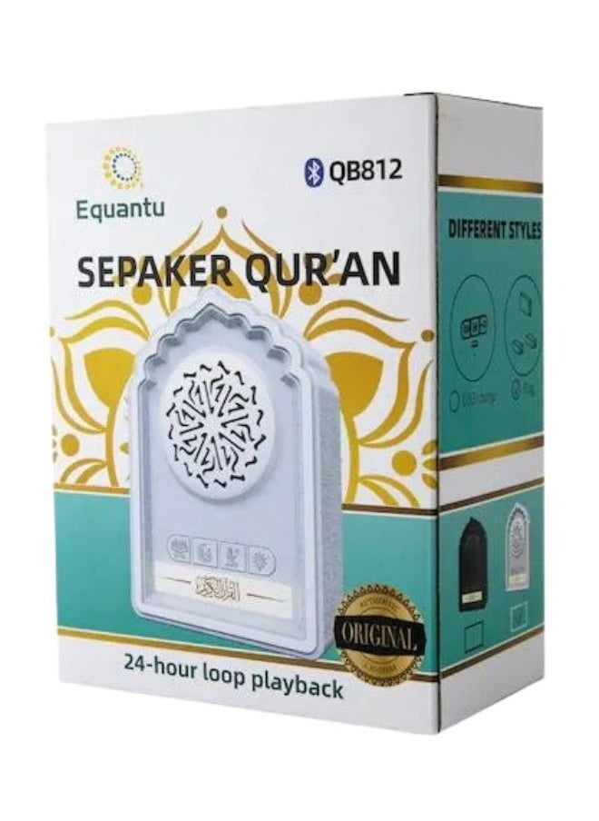 إيكوانتو قابس حائط لتزيين القرآن الكريم، مكبر صوت قرآن جميل، مكبر صوت لتلاوة القرآن الكريم كاملة للمنزل والمسجد والمكتب  - Image 5
