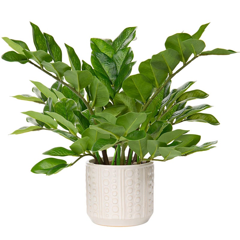 Briful Faux Plants Indoor 17 Artificial ZZ Plants in Ceramic Pot Fake Potted Zamioculcas Silk Plants for Home Table Decor Bedroom Aesthetic 1Pack