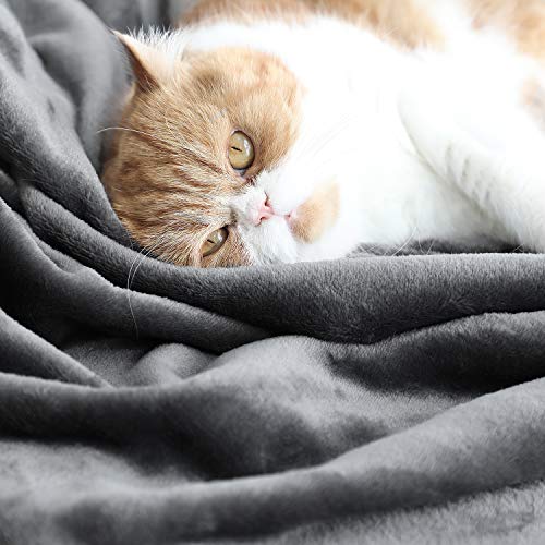 TASTHROW Large Flannel Fleece Throw Blanket, 50×70 Inch - Cozy Lightweight Thick Blanket - All Seasons Suitable for Women, Men and Kids (Grey) - Image 5