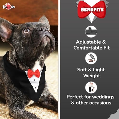 Pawsindia Tuxedo Bandana for Dogs, Crafted from Premium Fabric to Ensuring Proper Air Circulation and Adding a Touch of Trendy Style (Large, Black) - Image 4