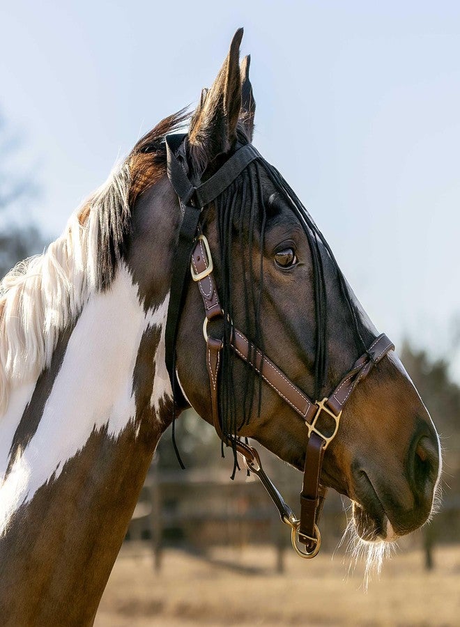 هورز قناع HORZE البسيط والخفيف الوزن للحماية من الحشرات والذباب للخيول الحساسة - لا حاجة إلى لجام - أسود - متوسط - Image 3