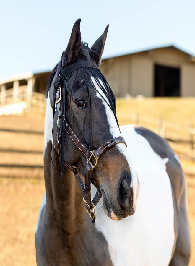 هورز قناع HORZE البسيط والخفيف الوزن للحماية من الحشرات والذباب للخيول الحساسة - لا حاجة إلى لجام - أسود - متوسط - Image 4