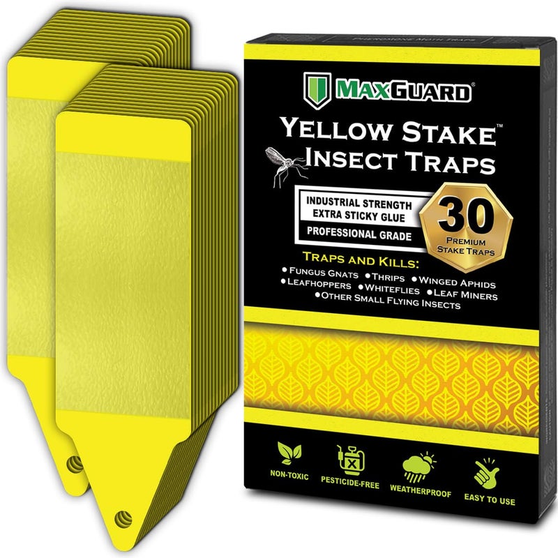 MAXGUARD (30 Pack) Yellow Stake Sticky Insect/Bug Traps - Catch and Kill Fungus Gnats, Whiteflies, Mosquitos, Aphids, Leaf Miners, Flying Insect Catcher Glue Trappers for Indoor or Outdoor - Image 1