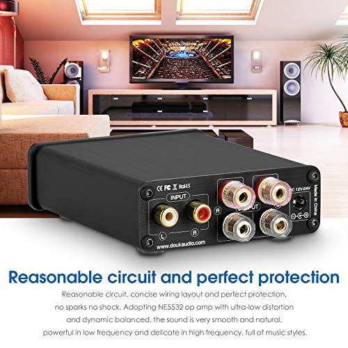 Nobsound Mini Dual TPA3116 Digital Power Amplifier HiFi Stereo Amp Audiophile-Grade 2.0 Channel 100W×2 NE5532P Pre-Amp (Black) - Image 5