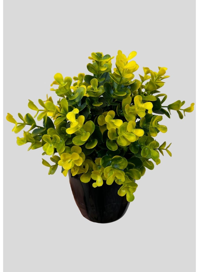 Artificial Flower Black Potted Densely Branched Yellow Eucalyptus Bunch - pzsku/ZB145B954D59D3CE74C98Z/45/_/1725722698/f2de0c50-2e76-43ec-8306-93aabae5b5a9