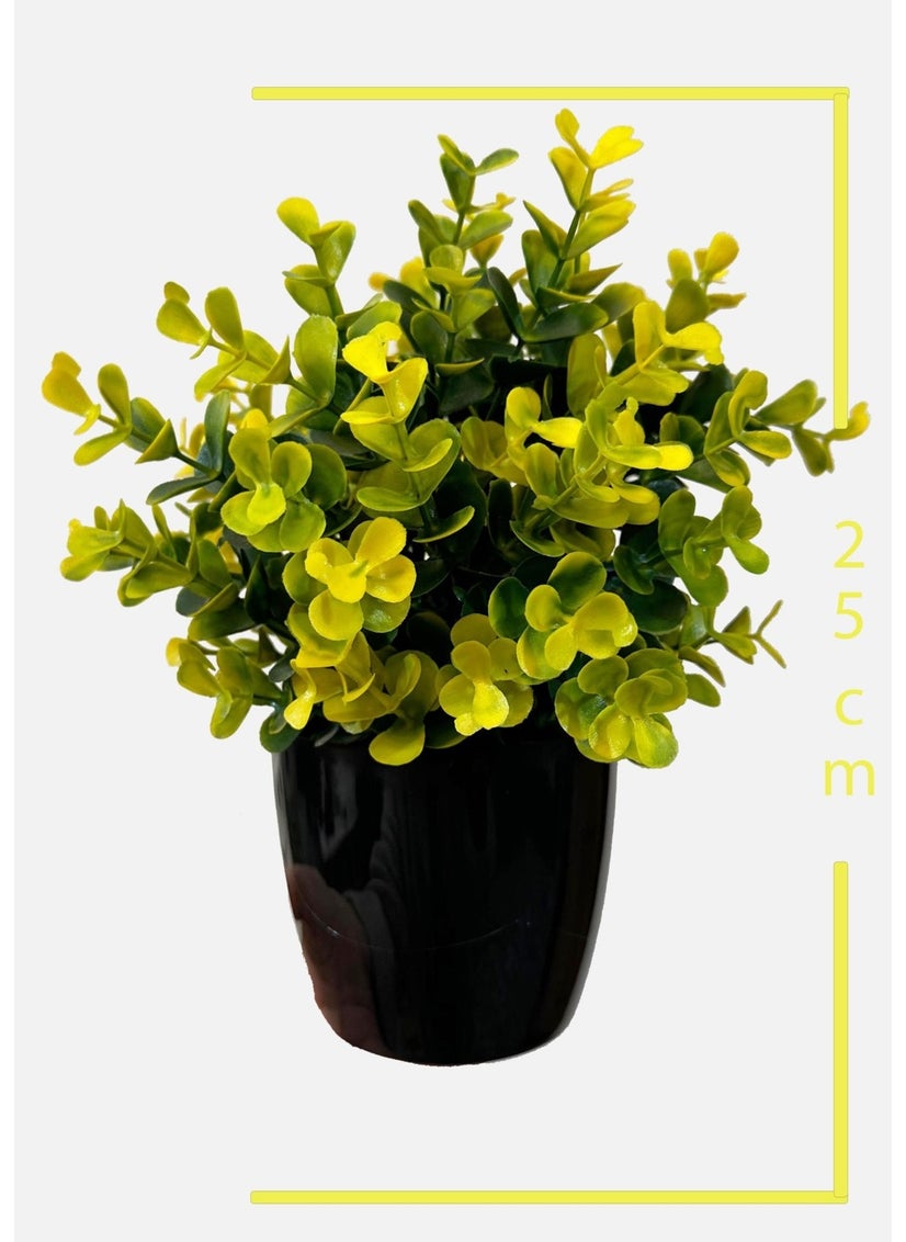 Artificial Flower Black Potted Densely Branched Yellow Eucalyptus Bunch - pzsku/ZB145B954D59D3CE74C98Z/45/_/1725722814/2dd07f3a-9256-43c6-807f-838d0054c0d2