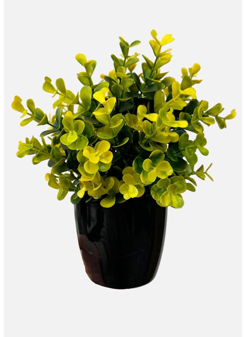 Artificial Flower Black Potted Densely Branched Yellow Eucalyptus Bunch - pzsku/ZB145B954D59D3CE74C98Z/45/_/1725723124/b8f53e24-8923-4a6f-a5d6-6d3abdcebf24