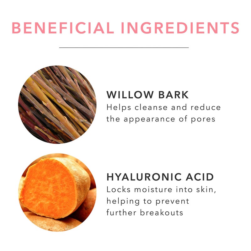 100 % Pure 100% PURE Tea Tree & Willow Clarifying Astringent, Natural Acne Treatment, Alcohol Free, Hydrating Toner - 4 Fl Oz - Image 5