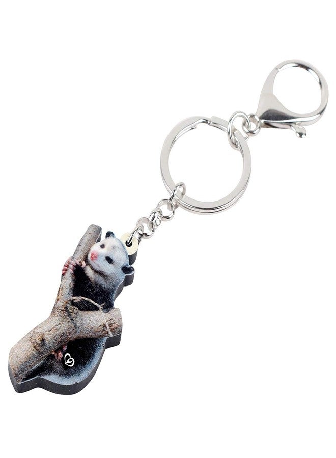 NEWEI Acrylic Cute Possum Keychain Opossum Jewelry for Women Car Key Purse Charms - Image 3