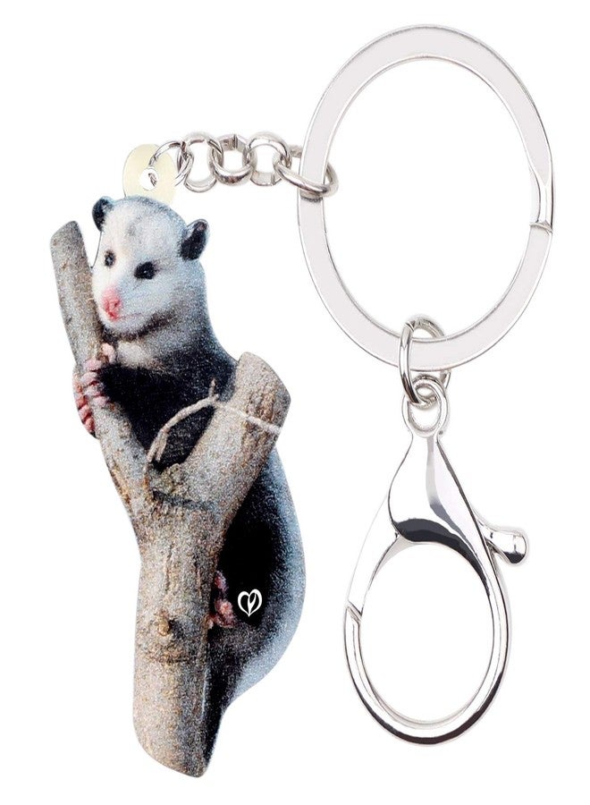 NEWEI Acrylic Cute Possum Keychain Opossum Jewelry for Women Car Key Purse Charms - Image 1