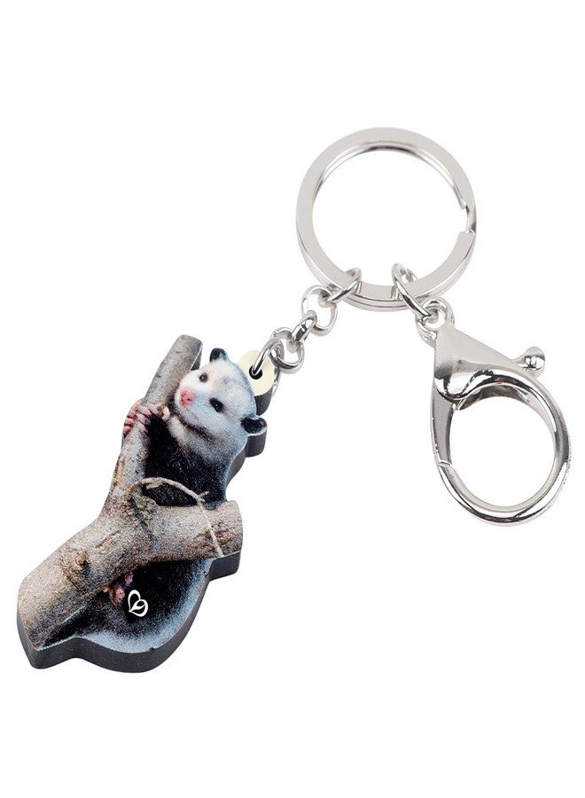 NEWEI Acrylic Cute Possum Keychain Opossum Jewelry for Women Car Key Purse Charms - Image 2