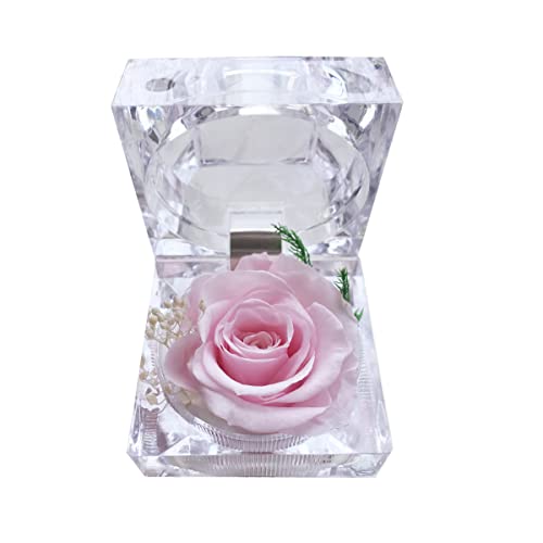 DoraMagic Preserved Rose Real Forever Rose in Mini Clear Ring Box, Eternal Flower Rose Gifts for Women Mom Girlfriend Grandma, Mothers Day, Anniversary, Valentines, Christmas, Birthday (Pink) - Image 1