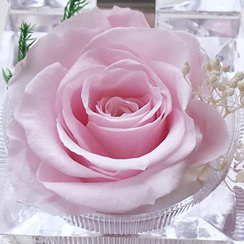 DoraMagic Preserved Rose Real Forever Rose in Mini Clear Ring Box, Eternal Flower Rose Gifts for Women Mom Girlfriend Grandma, Mothers Day, Anniversary, Valentines, Christmas, Birthday (Pink) - Image 4