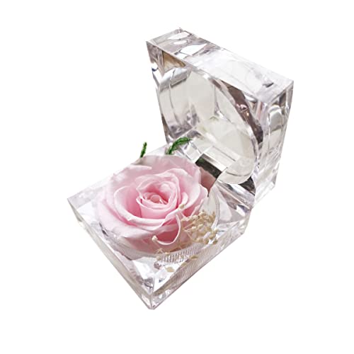 DoraMagic Preserved Rose Real Forever Rose in Mini Clear Ring Box, Eternal Flower Rose Gifts for Women Mom Girlfriend Grandma, Mothers Day, Anniversary, Valentines, Christmas, Birthday (Pink) - Image 2