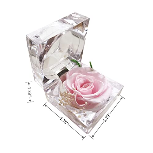 DoraMagic Preserved Rose Real Forever Rose in Mini Clear Ring Box, Eternal Flower Rose Gifts for Women Mom Girlfriend Grandma, Mothers Day, Anniversary, Valentines, Christmas, Birthday (Pink) - Image 3