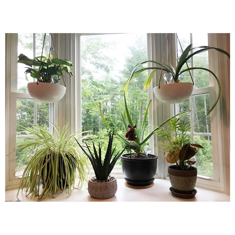 Irrmshr 10 Pack Clear Plant Watering Globes,Plastic Self Watering Bulbs for Indoor Plants,Garden Water Device Automatic Plant Waterer Indoor Outdoor - Image 4