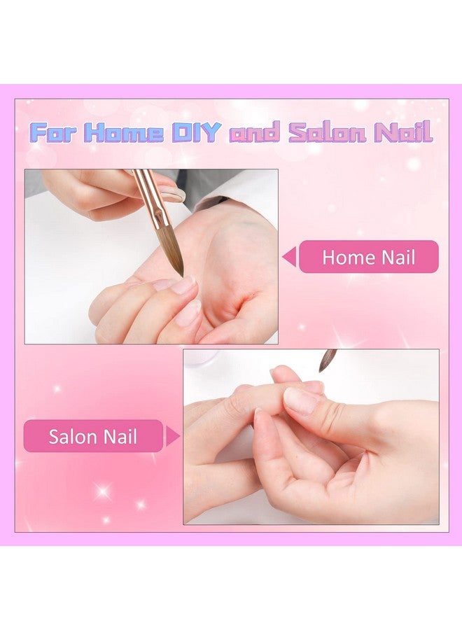 heemeei Kolinsky Acrylic Nail Brush Size 12 Nail Brushes For Acrylic Application Acrylic Powder Brush For Nail Art Nail Acrylic Brush For Professional Manicure Diy Home Salon (12)… - Image 4