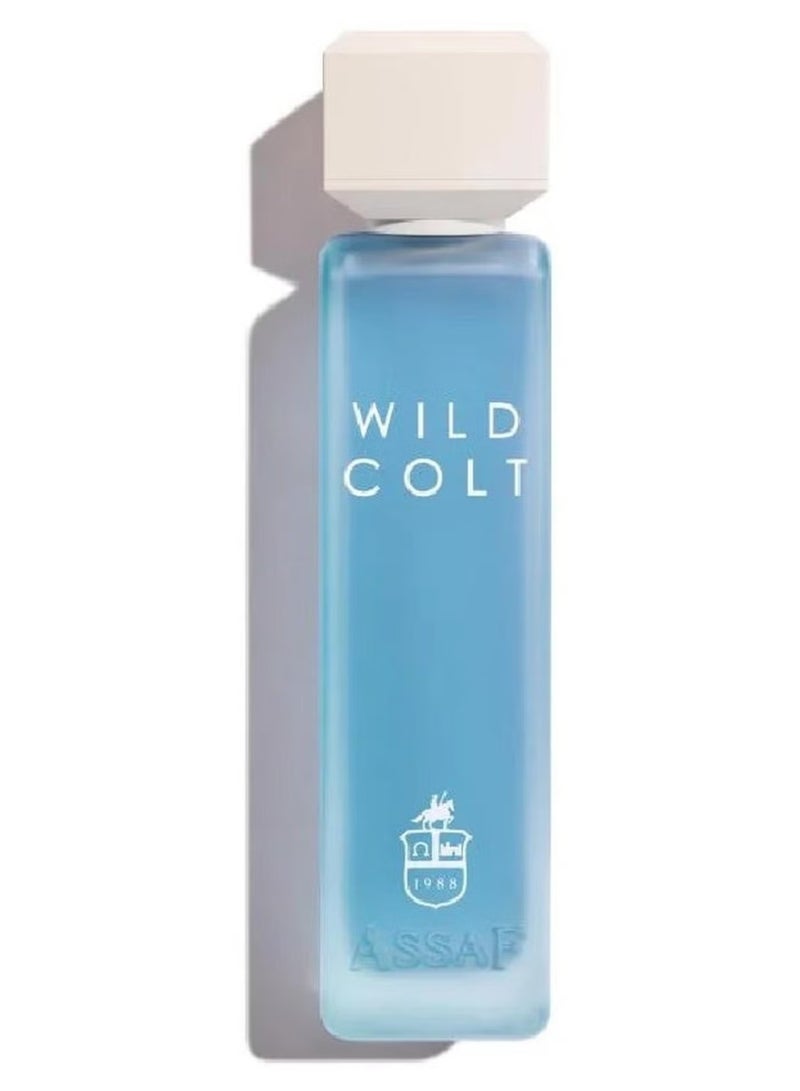 ASSAF Wild Colt EDP 200ml -Assaf - Image 2