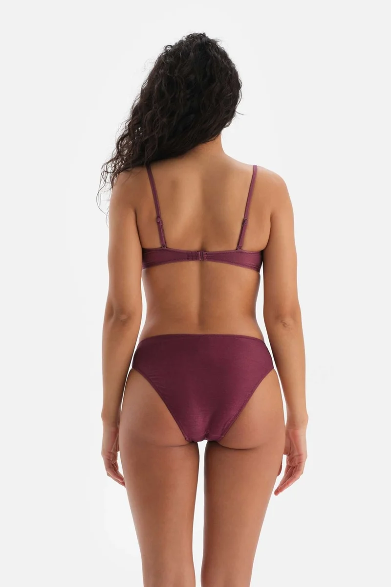 dagi Claret Red-Ecru High Waist Bottom