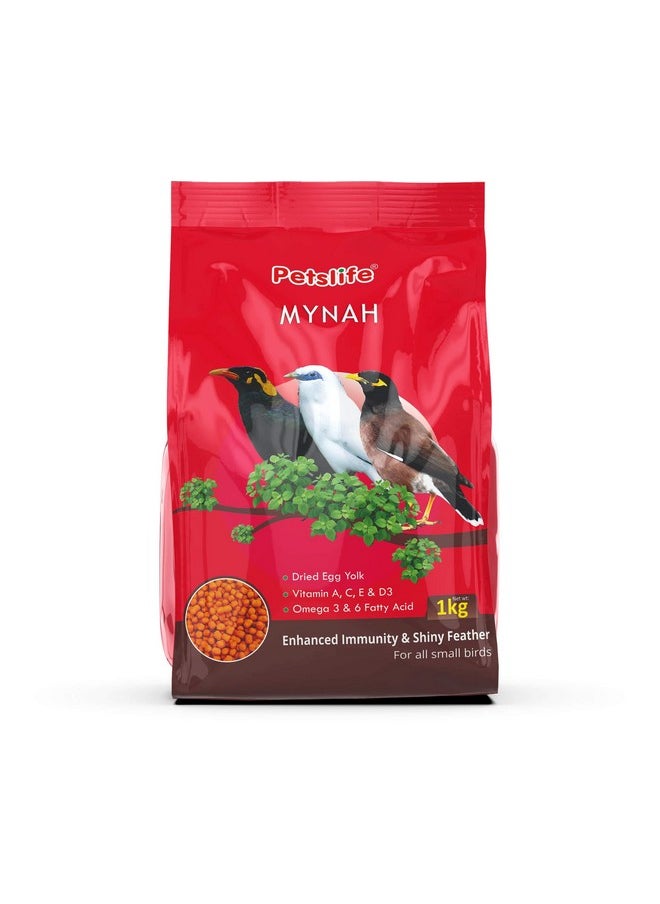 Bird Food For Mynah, 1 Kg - pzsku/ZB14B1621480CA3F2DB8FZ/45/_/1728280802/2dc197cd-4190-47fe-b47f-f2358066fdf3