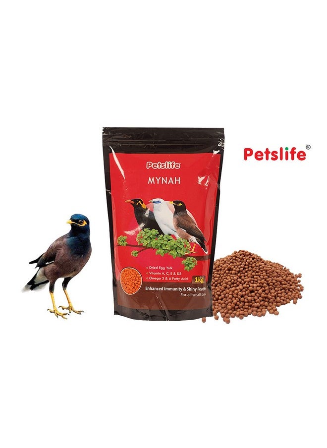 Bird Food For Mynah, 1 Kg - pzsku/ZB14B1621480CA3F2DB8FZ/45/_/1728280810/0df91c4b-bb90-4c01-9699-0745bdf214ce