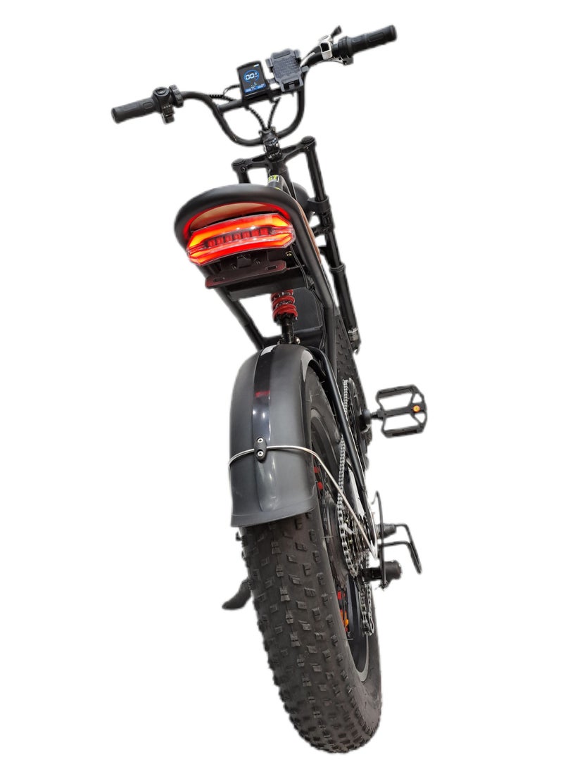CHENXN - 2000W Off Road Electric Bike Fat Tyres Shimano Shifters Lithium Battery - Image 1