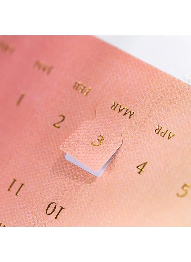 Etncy Life 10 Sheets Monthly Adhesive Index Tabs Colorful Monthly Separator Tabs For Office Study Planners Organizations (Knight)  - Image 2