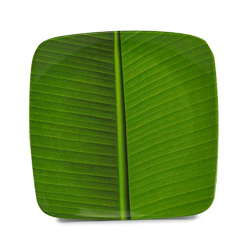 Recon® (7.5 X 7.5 INCH Banana Leaf South Indian Square Ice Cream Starters Serving Melamine Plate for All Occasions (Pack of 6) (7.5 INCH) - Image 3